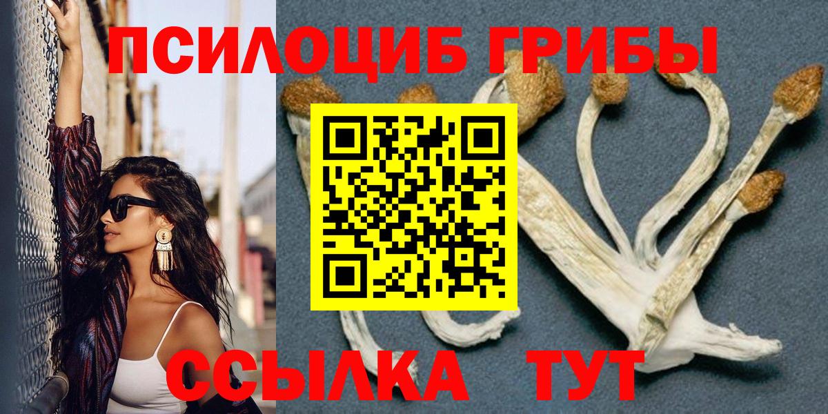 Родники  Галлюциногенные грибы Magic Shrooms  Псилоцибиновые грибы GOLDEN TEACHER  Вход с VPN 