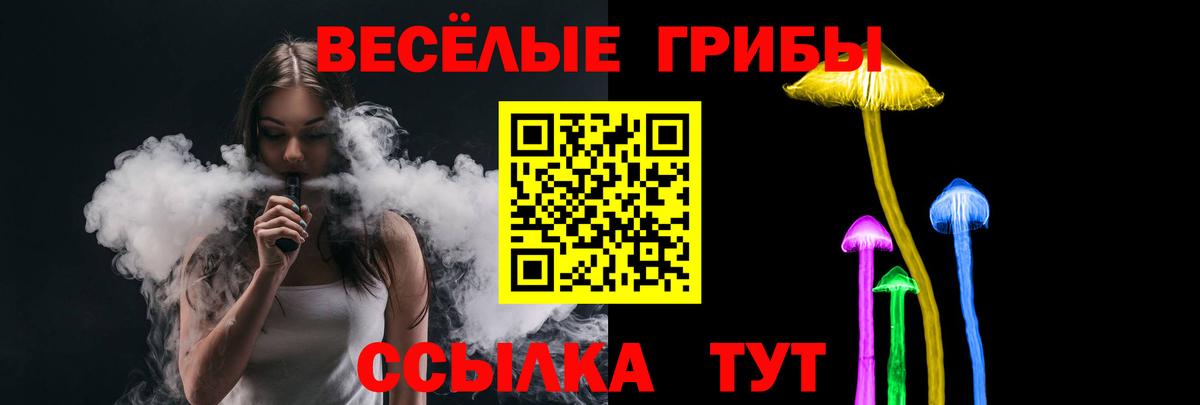 Галлюциногенные грибы Psilocybine cubensis Родники
